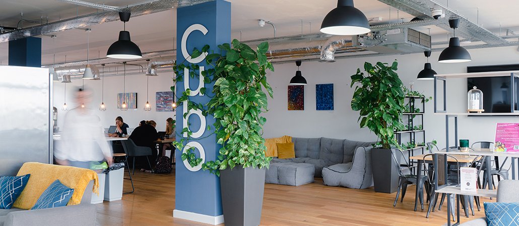 Cubo Nottingham